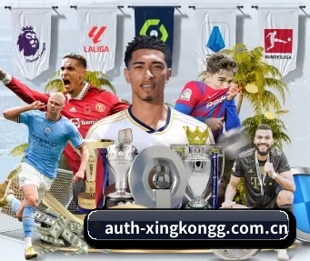 auth-xingkongg.com.cn APP